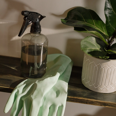 Dirty Home, Cleaning Supplies