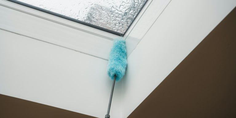 General Cleaning, Disinfecting