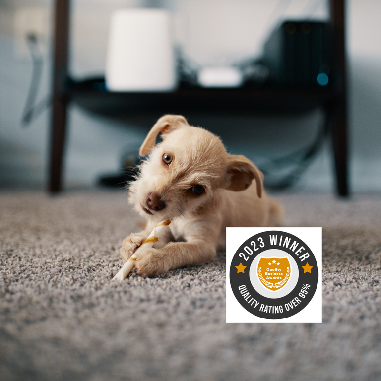 Carpet Cleaning, Dirty Carpets, Carpet Cleaning Award